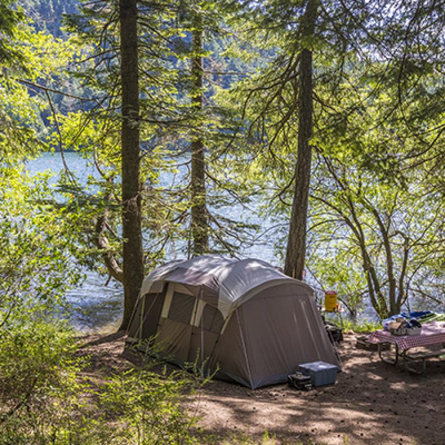campsite with pitched tent surrounded by a canopy of trees and view of the lake