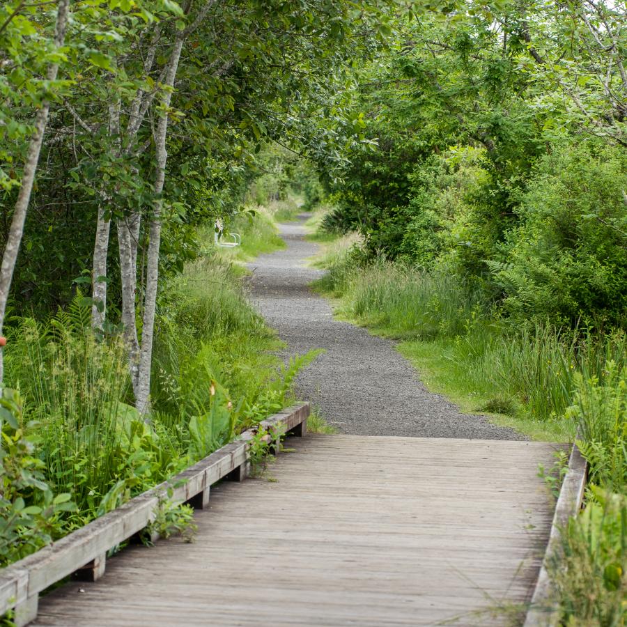 walking trail connected to boardwalk