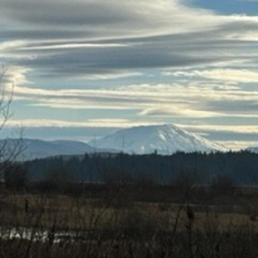 view of the volcano behind wetland grasses and partly cloudy blue sky