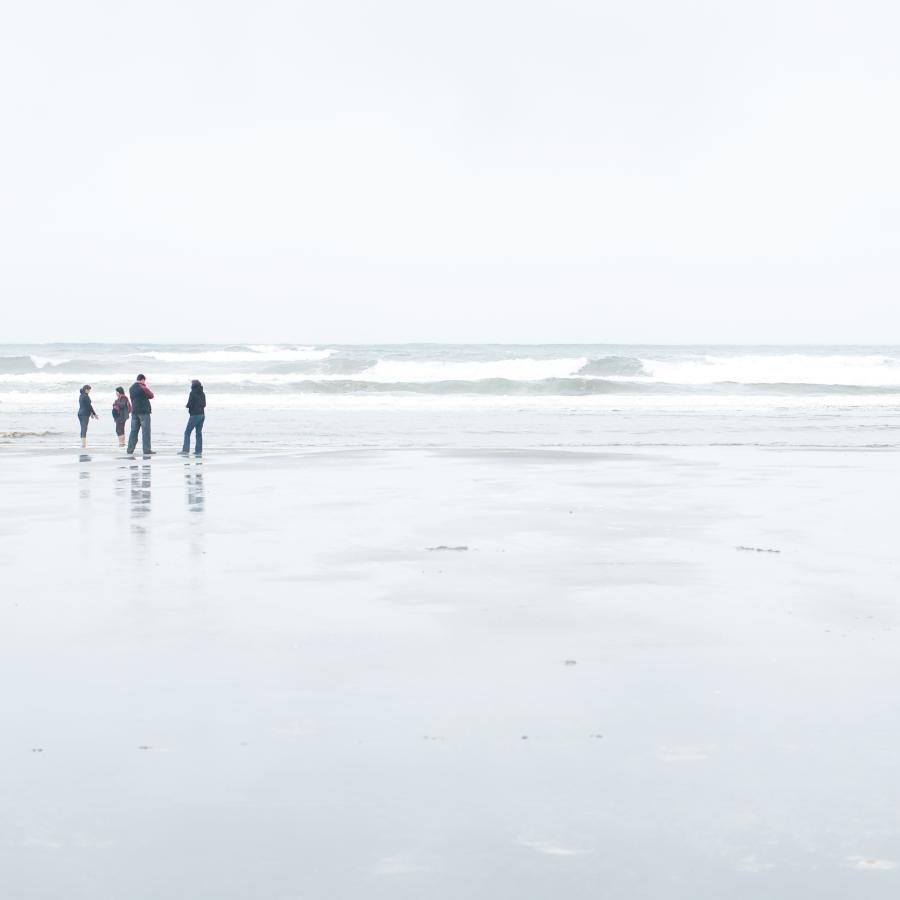 group of people walking along the shoreline 