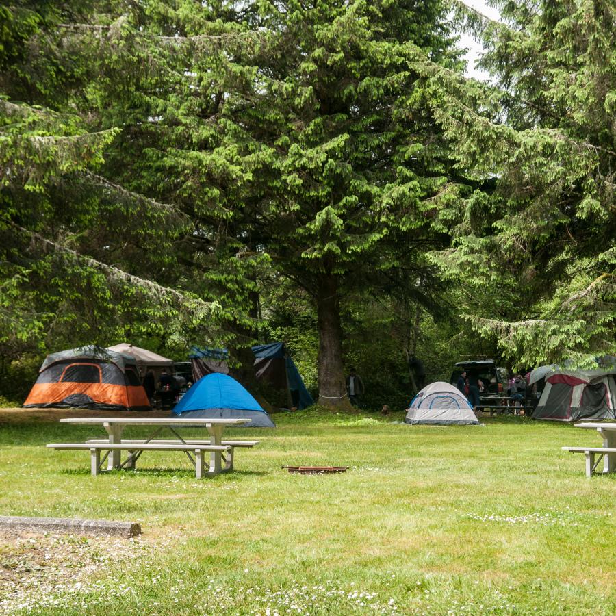 open campsite with picnic tables and tents surrounded by trees
