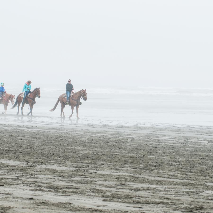 3 horses with riders walking along beach shoreline
