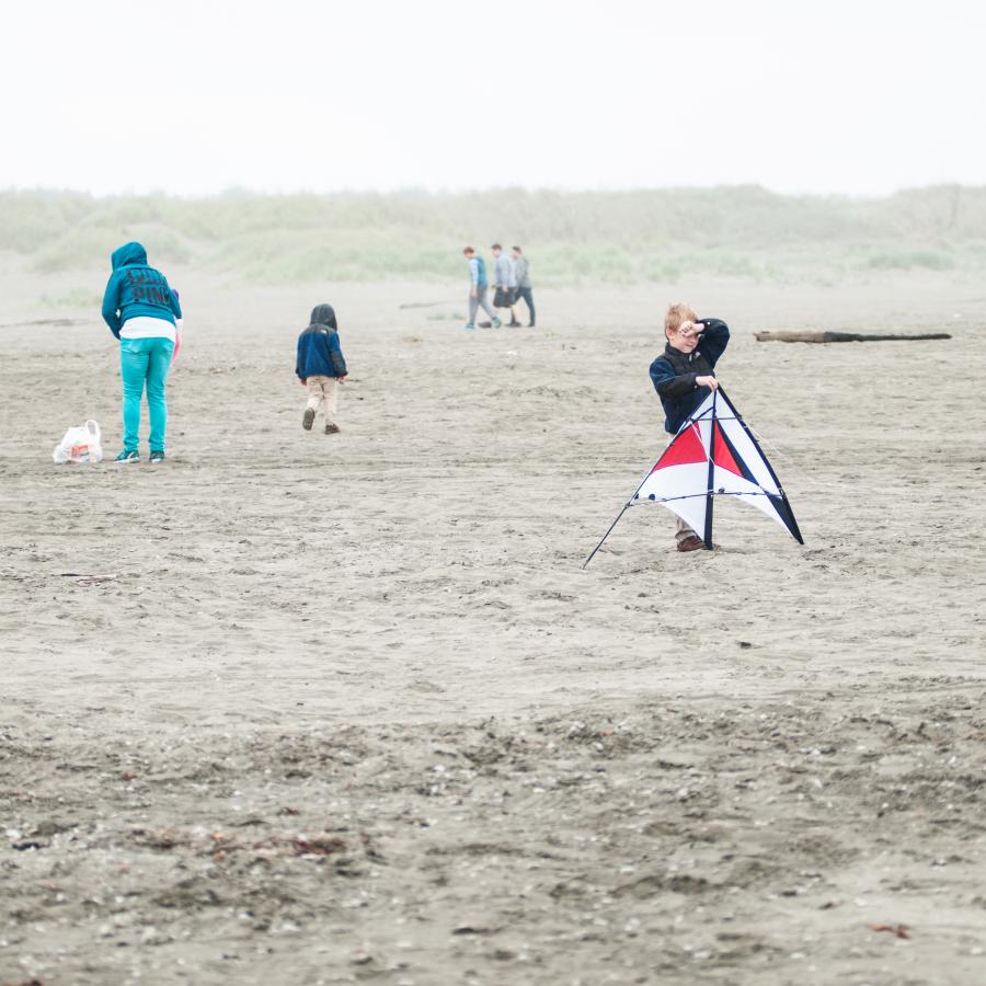 children playing with dog on the beach with boy preparing to fly his kite