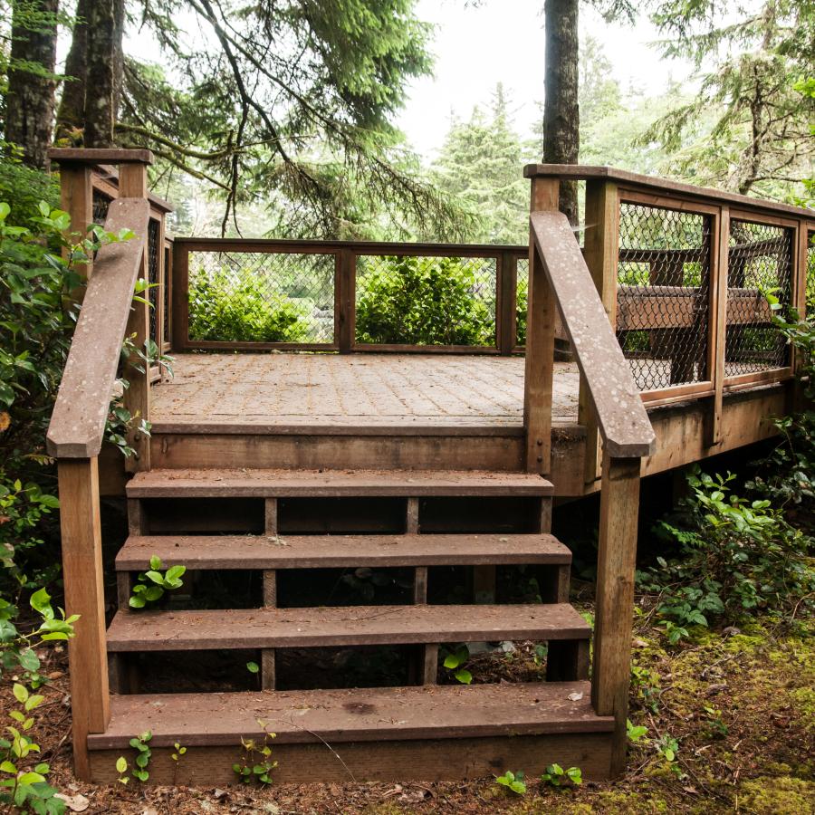 view of the platform built of deck wood stationed between trees with steps leading up two levels
