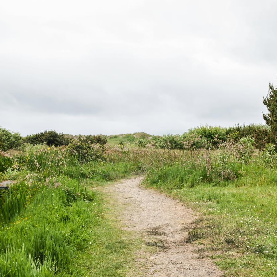 long trail leading to beach