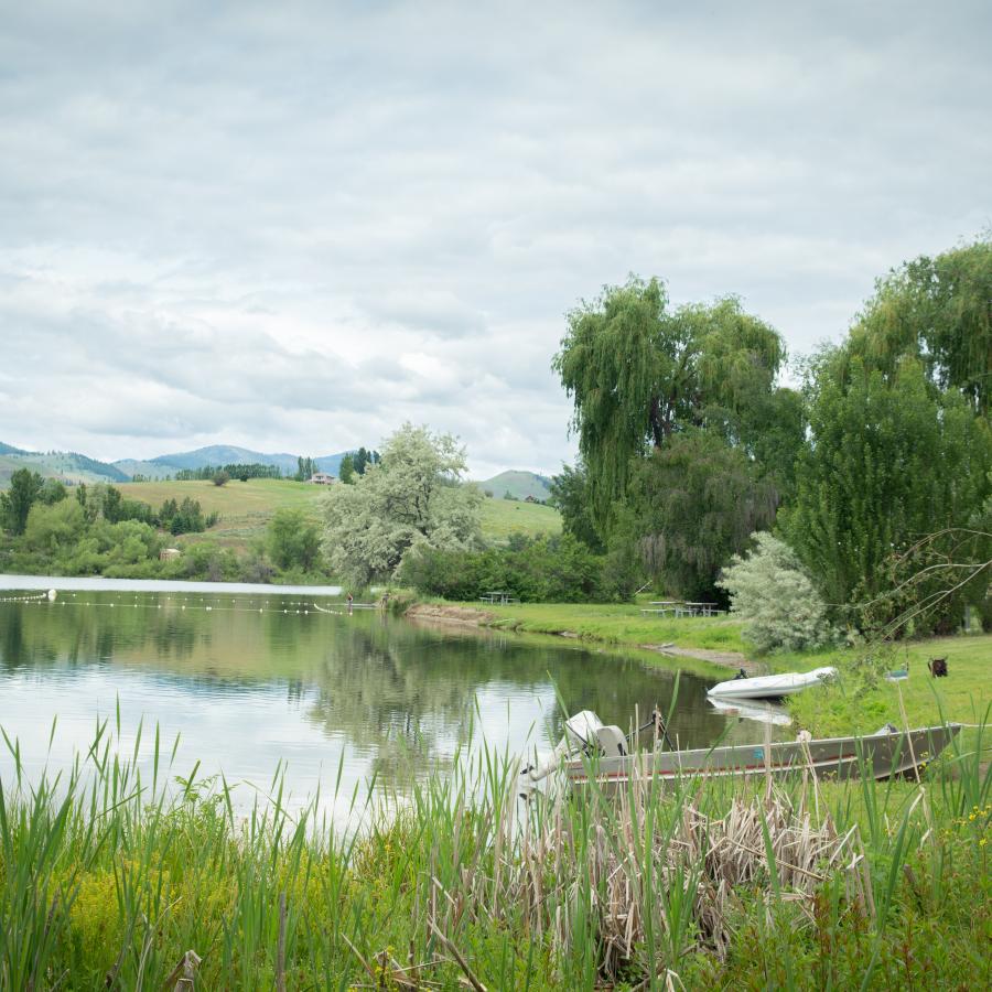 Looking over reed grass at a lake and swim area with aluminum boats beached on a grassy lawn with large green trees and a cloudy sky in the background.