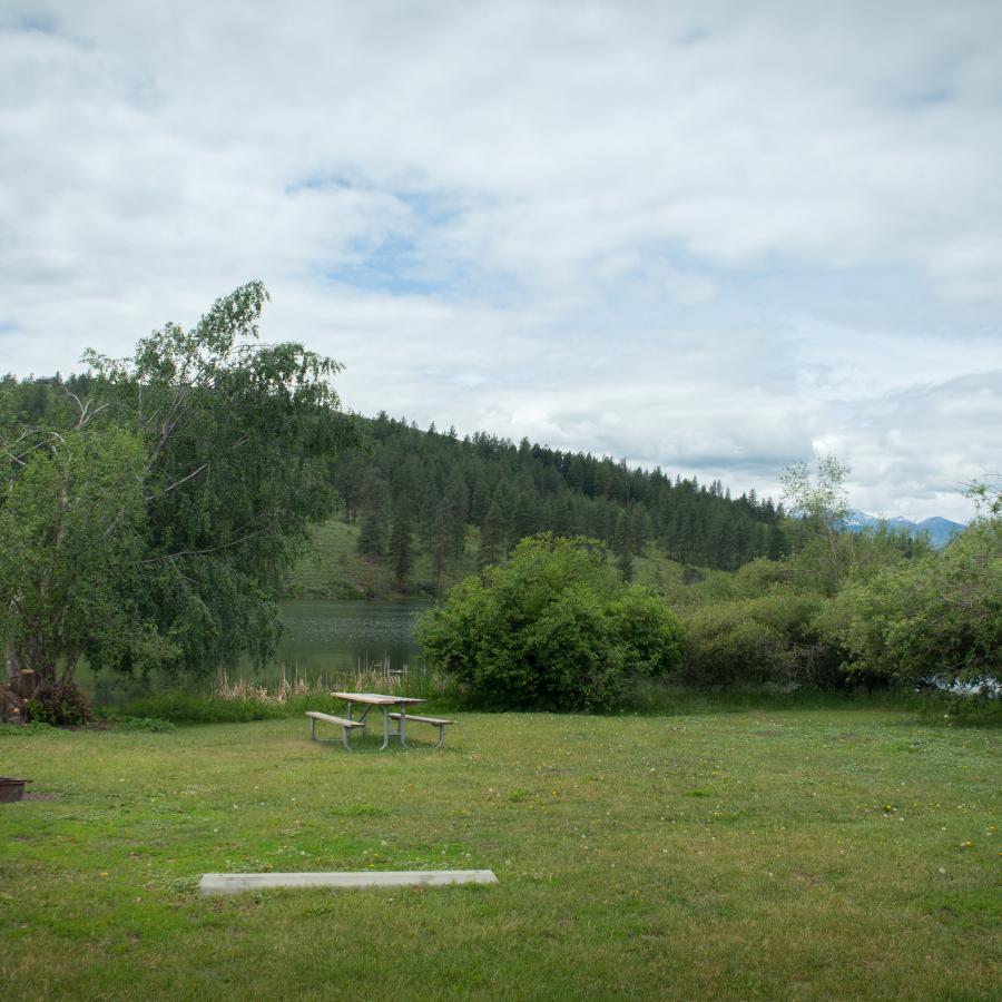 A green grassy campsite sitting along the water edge with reed grass and full, green shrubs with a leaning tree in the background. A picnic table and fire pit sit in the middle of the grassy area.