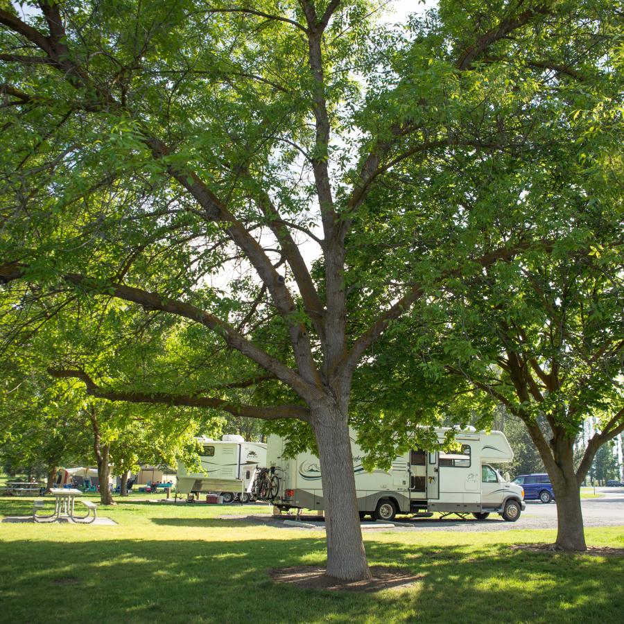 Two motorhomes sit on gravel RV parking pads with picnic tables on cement pads behind them. They are set in a green lawn with green trees providing shade. 