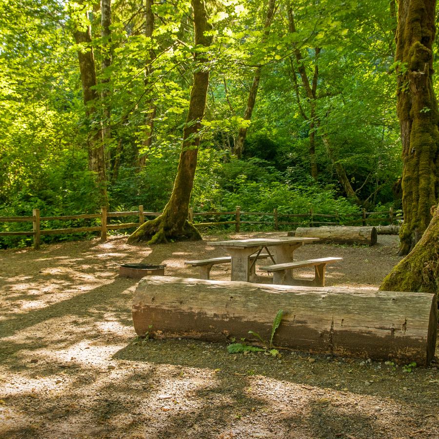 Potlatch State Park | Washington State Parks