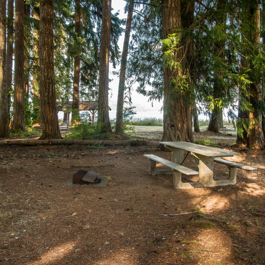 primitive campsite with picnic table and firepit ready for campers