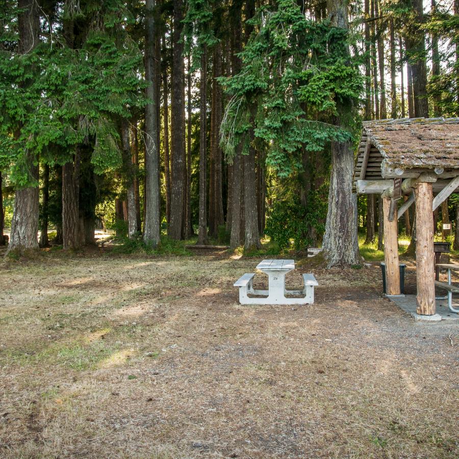 picnic shelter with many tables all around and underneath