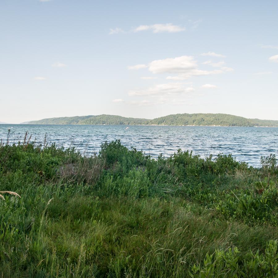 grassy field view overlooking the lake with hills on the horizon