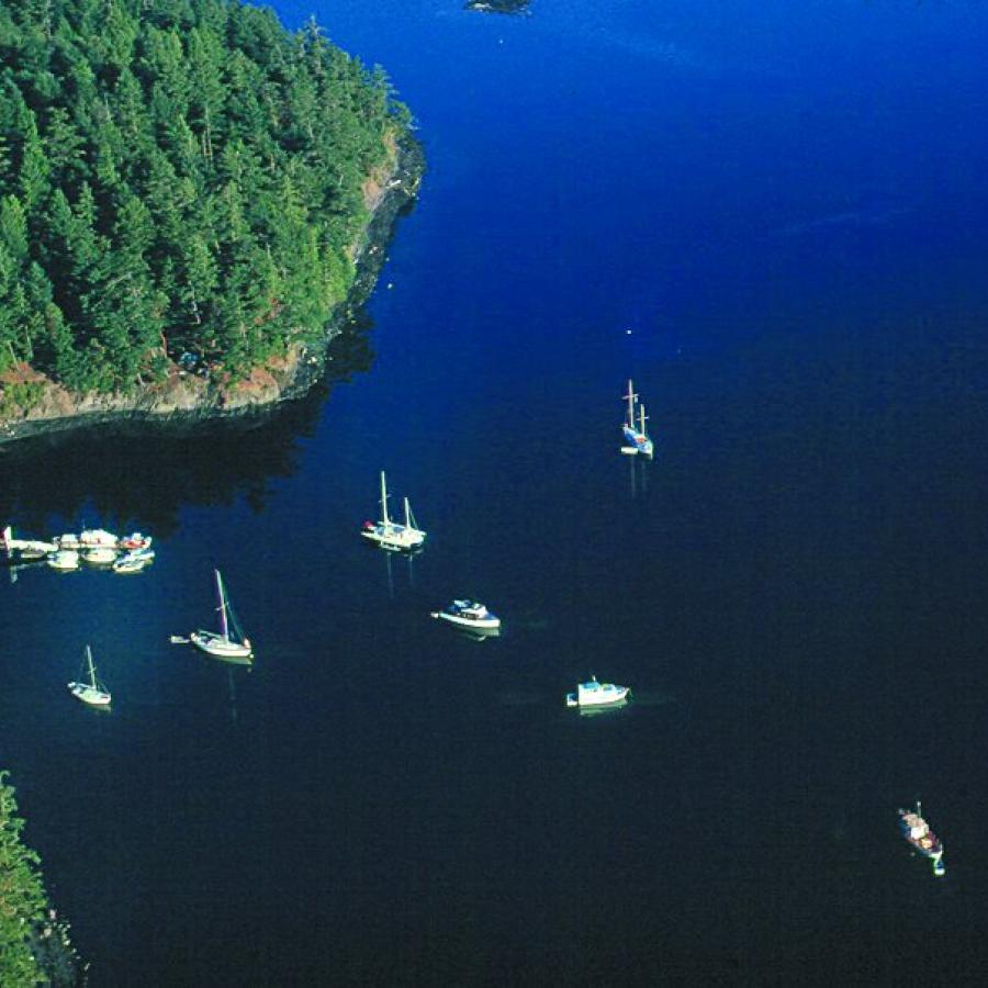 Aeiral view of the boats sitting in the water with a tree island on the left edge.