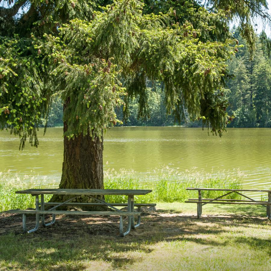 Anderson Lake picnic area.