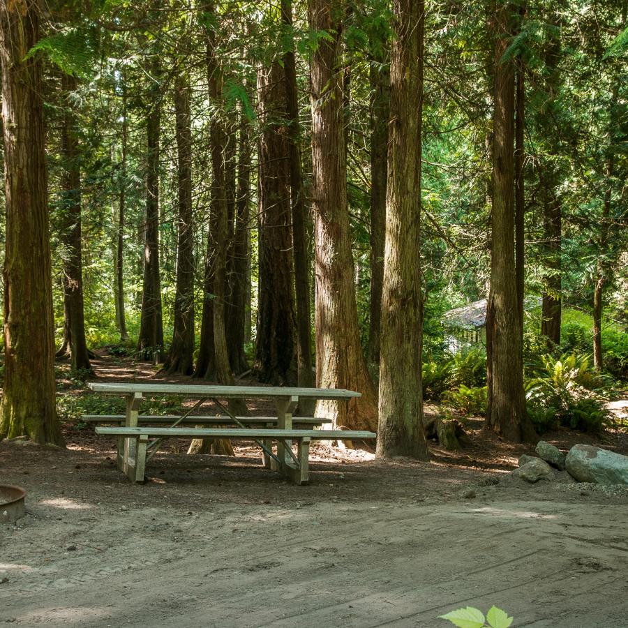 Campsite at Fort Flagler.