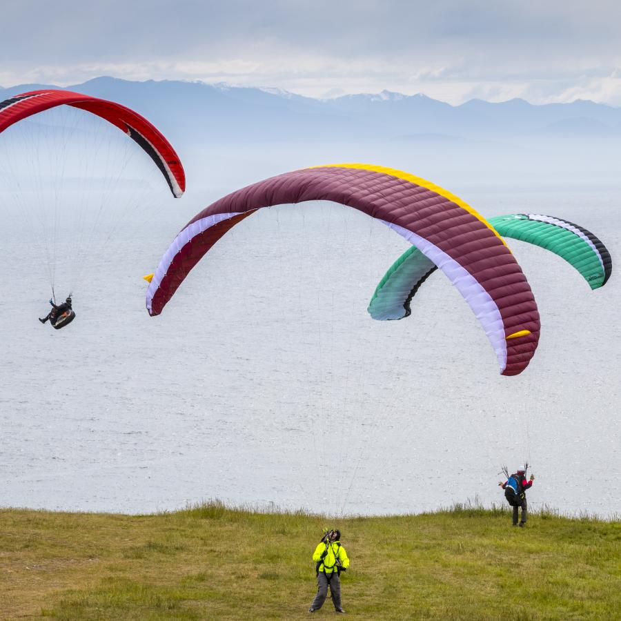 Paragliders at Fort Ebey State Park.
