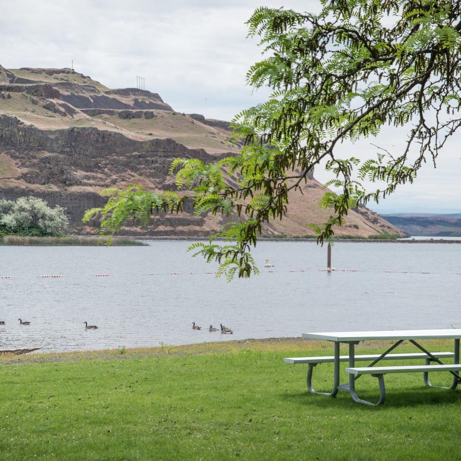 Ducks swim in the swim area and a picnic table sits on the green lawn. The rocky hillside is seen in the background.