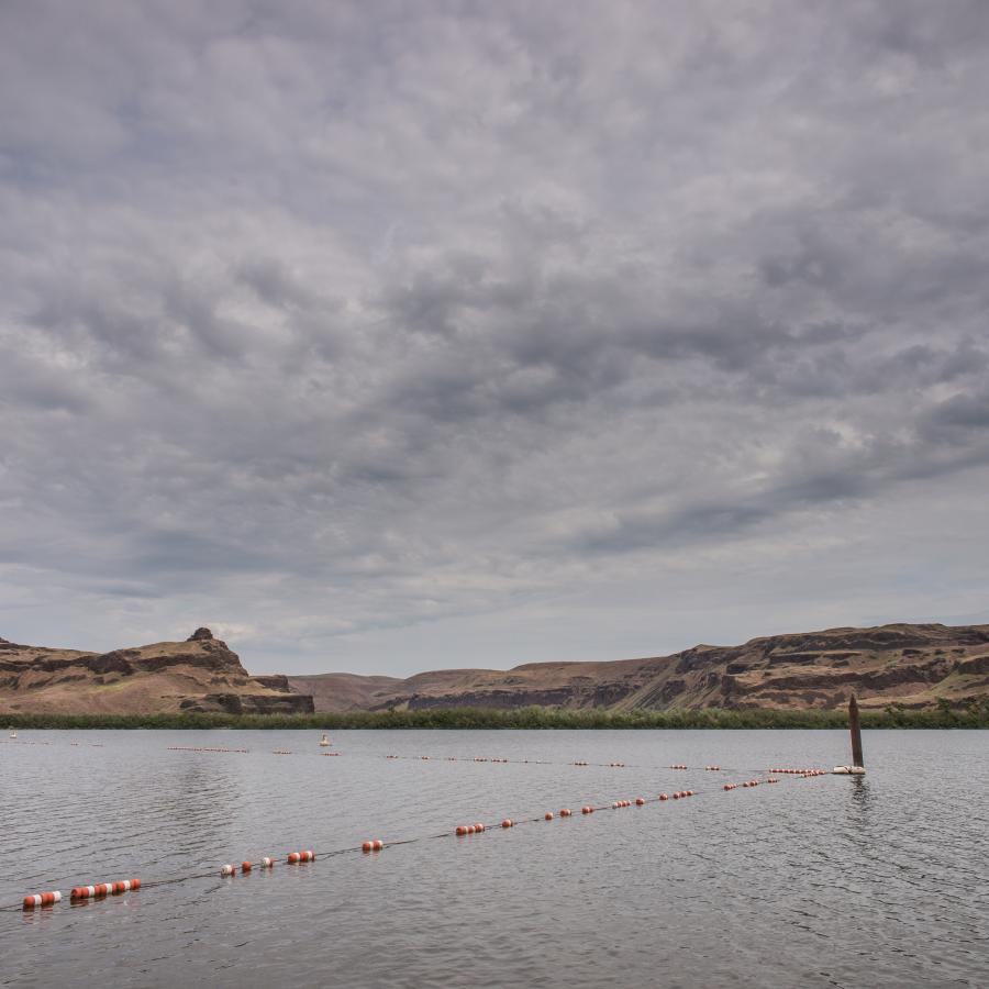 Swim area buoys sit in the water with the brown and rocky shrubsteppe hills in the background.