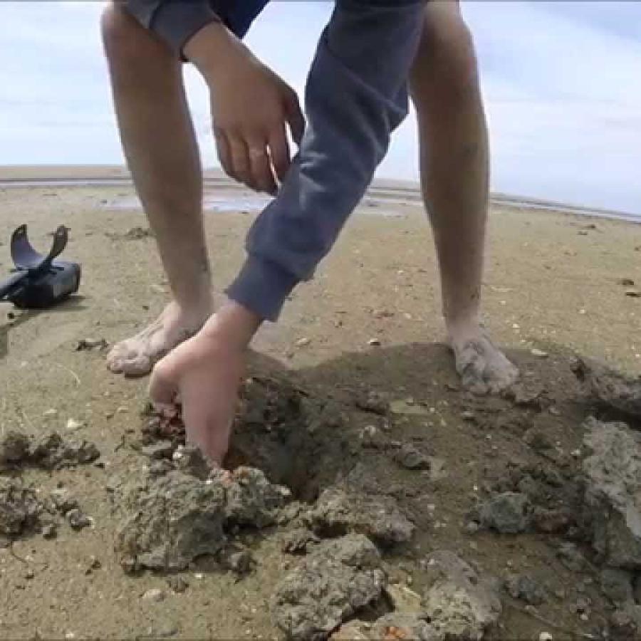 Metal Detecting Washington State Parks