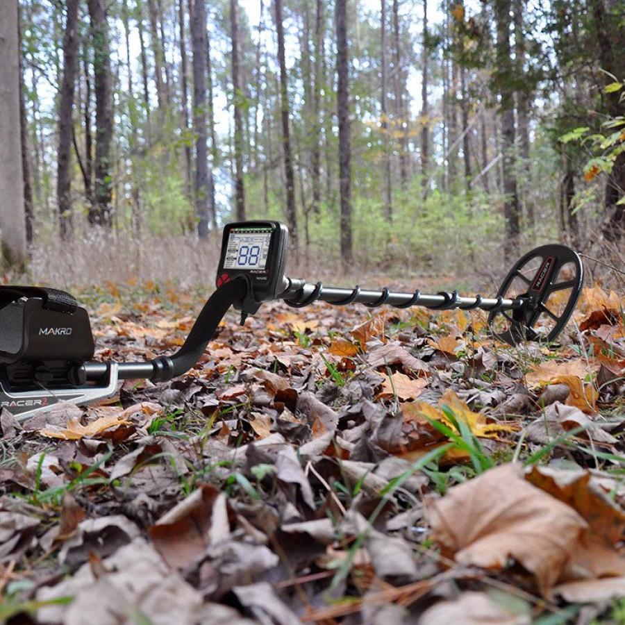 Metal detector in the woods.