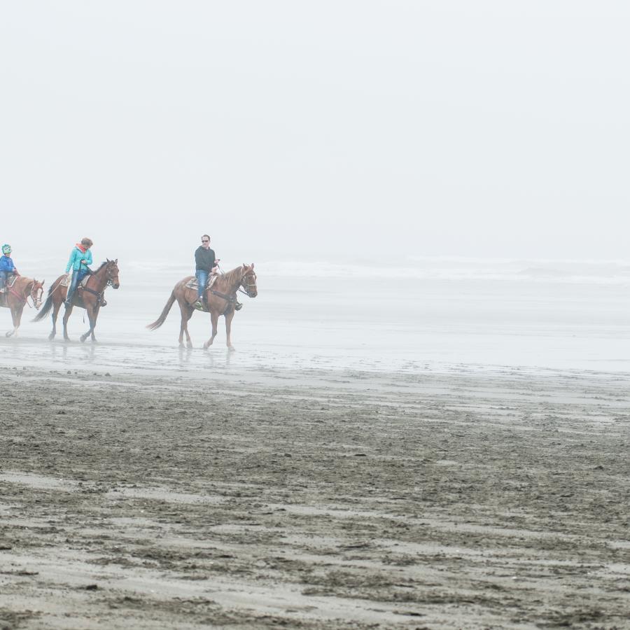 Horses on the beach at Ocean City.