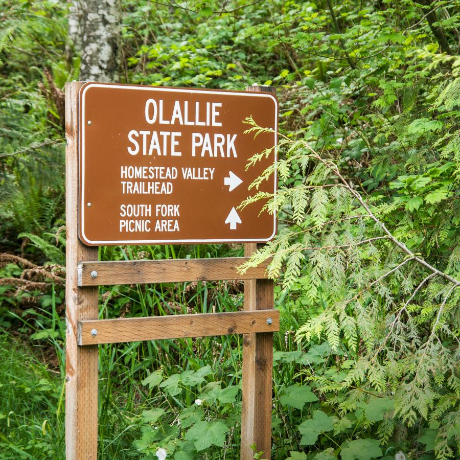 Brown recreation sign with the words Olallie State Park in large font and "homestead valley trailhead" in smaller font with an arrow to the right. Below that is "south fork picnic area" in the same size font with an arrow pointing forward. Set against lush green undergrowth and trees. 