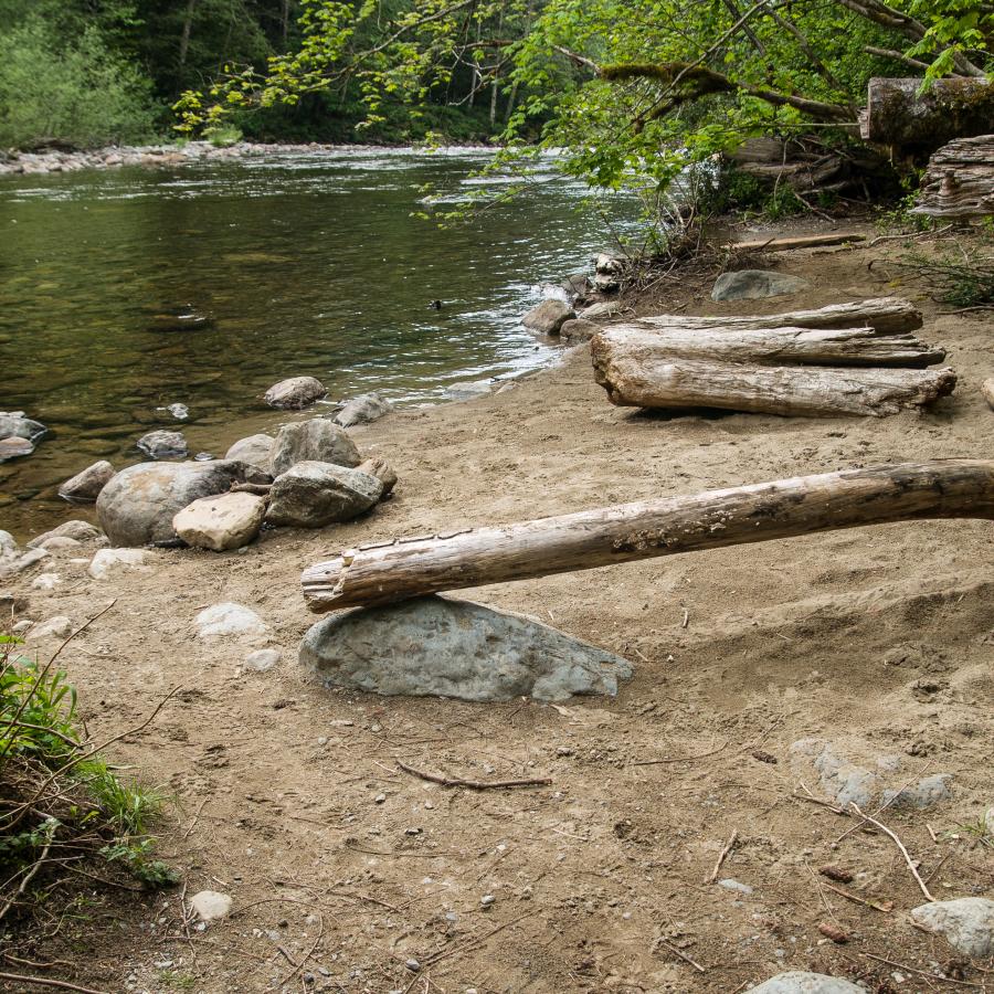 Riverside view with some grey and brown rocks scattered along the shoreline. There are multiple de-barked logs visible washed up along the river bank. Green undergrowth and trees are visible in the background. 
