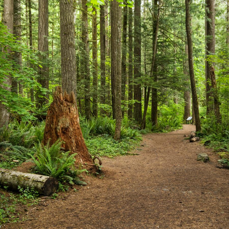 Olallie State Park | Washington State Parks