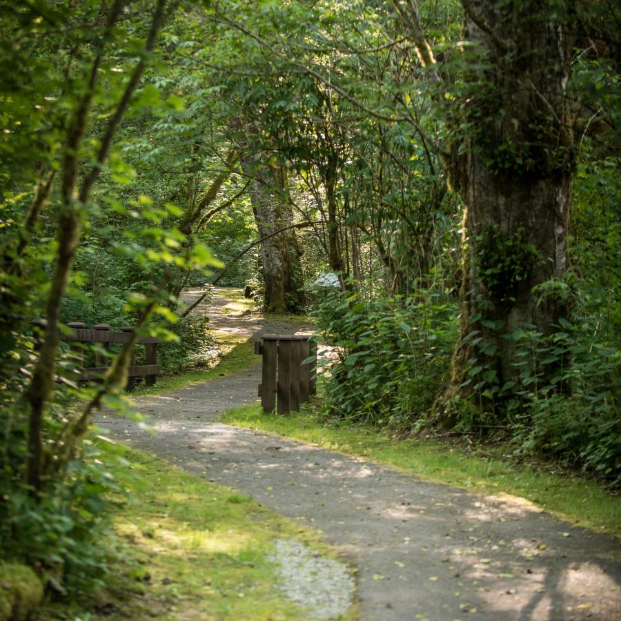 A compact trail covers the center-right of the image and curves to the left then back to the right as the trail moves way from the photographer. There is a wooden fence toward the center of the photo on both the left and right side of the trail. The trail is flanked on both sides by tall, lush green trees with green undergrowth. 