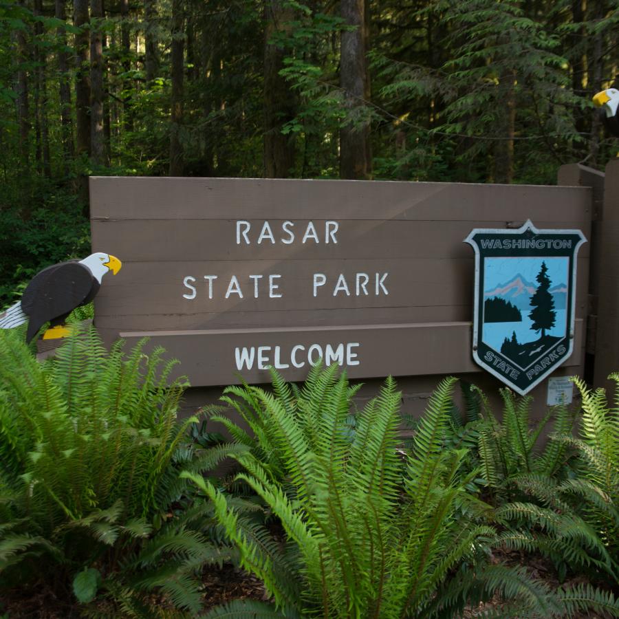 Image of medium brown state park sign with the State Parks Shield, the name of the park, the word "welcome" , and two painted wooden eagles - one on the left and one on the right. In the front are a few green ferns and in the background a lush green forest. 