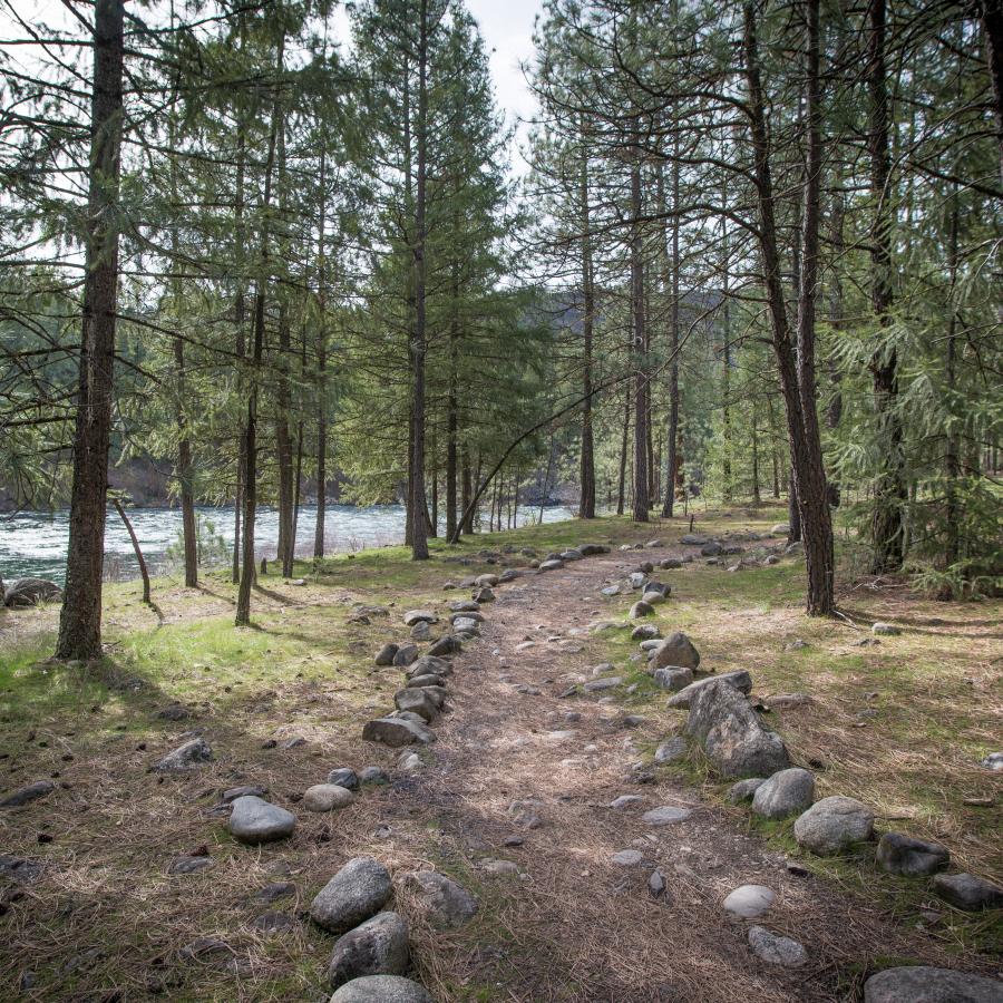 Riverside trail by the water.