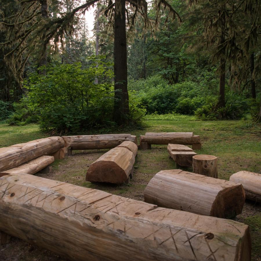 Amphitheater with large wooden log seats against a background of lush green trees and undergrowth. 