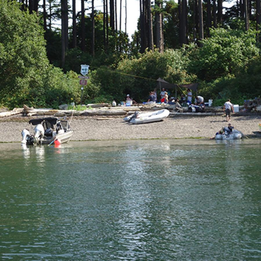 Boats are moored in the emerald water at Saddlebag island on a sunny day. There are tall evergreen trees above the sandy banks.