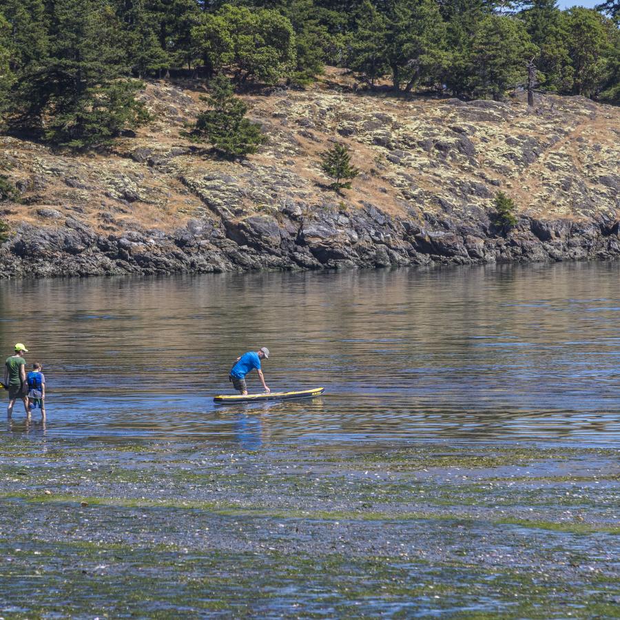 Two paddleboarders are getting into the clear water at Spencer Spit on a sunny day.