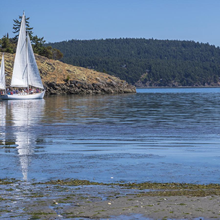 A sailboat cruises near the shore of Spencer Spit on a sunny day.