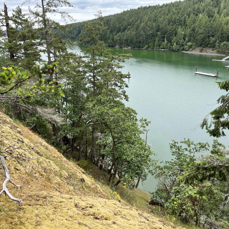 view from top of hill looking down at waterway 