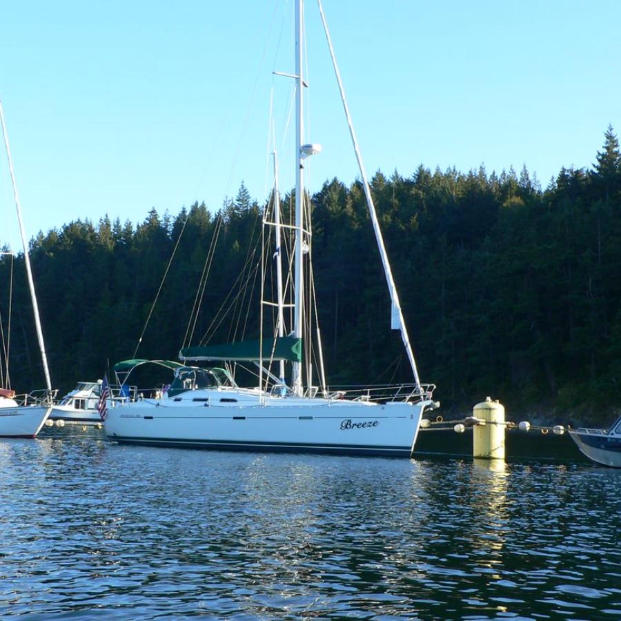 Sailboats docked during mid-day