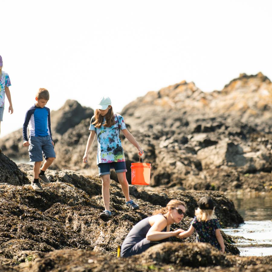 Exploring tidepools.