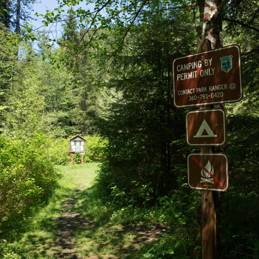 First come, first serve camping area entrance with a sign in the foreground to the right of the image informing campers to contact the ranger and that fires are not allowed. There is a trail to the camping area down the center with lush forest undergrowth and trees on both sides. At the end of the path it separates to the left and right. A notice board is in the center of the junction. 