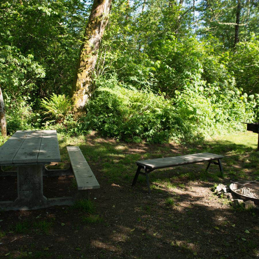 Campsite with a picnic table, bench, grill, and firepit. The campsite is shaded and surrounded by lush green trees. 