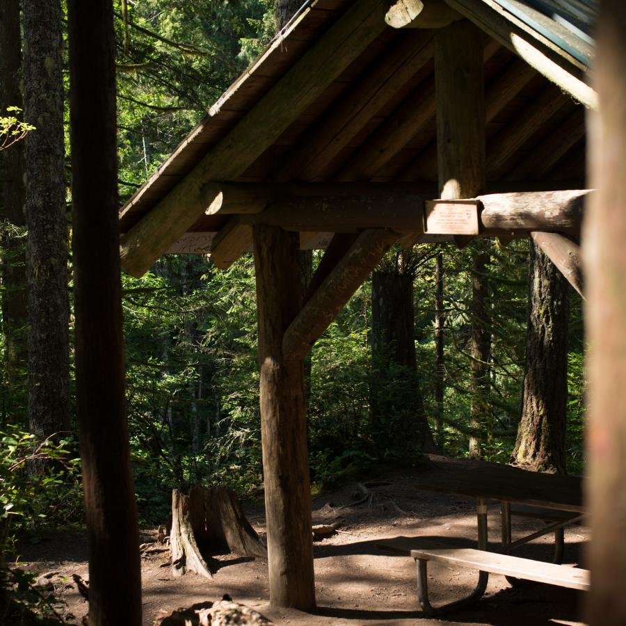One of the parks picnic shelters with large log columns and a green roof takes up the majority of the photo with some forest visible to the left. There is one picnic table visible and low stump.