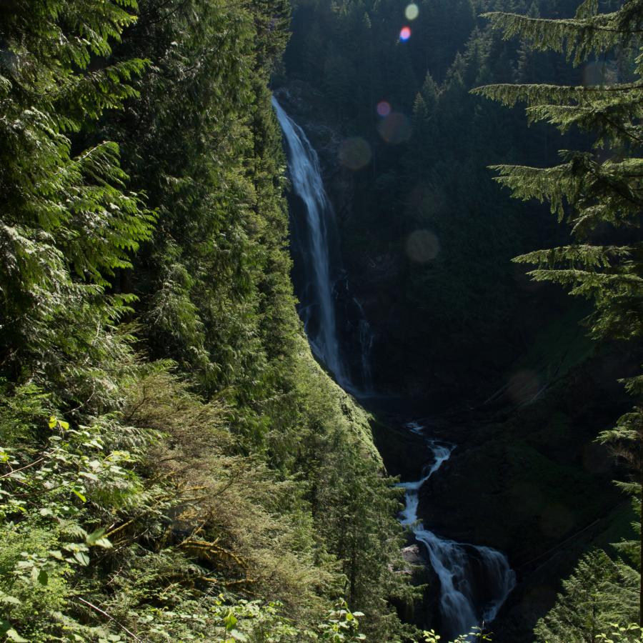 Image of Wallace Falls in the distance with lush green forest visible in the foreground and background. 