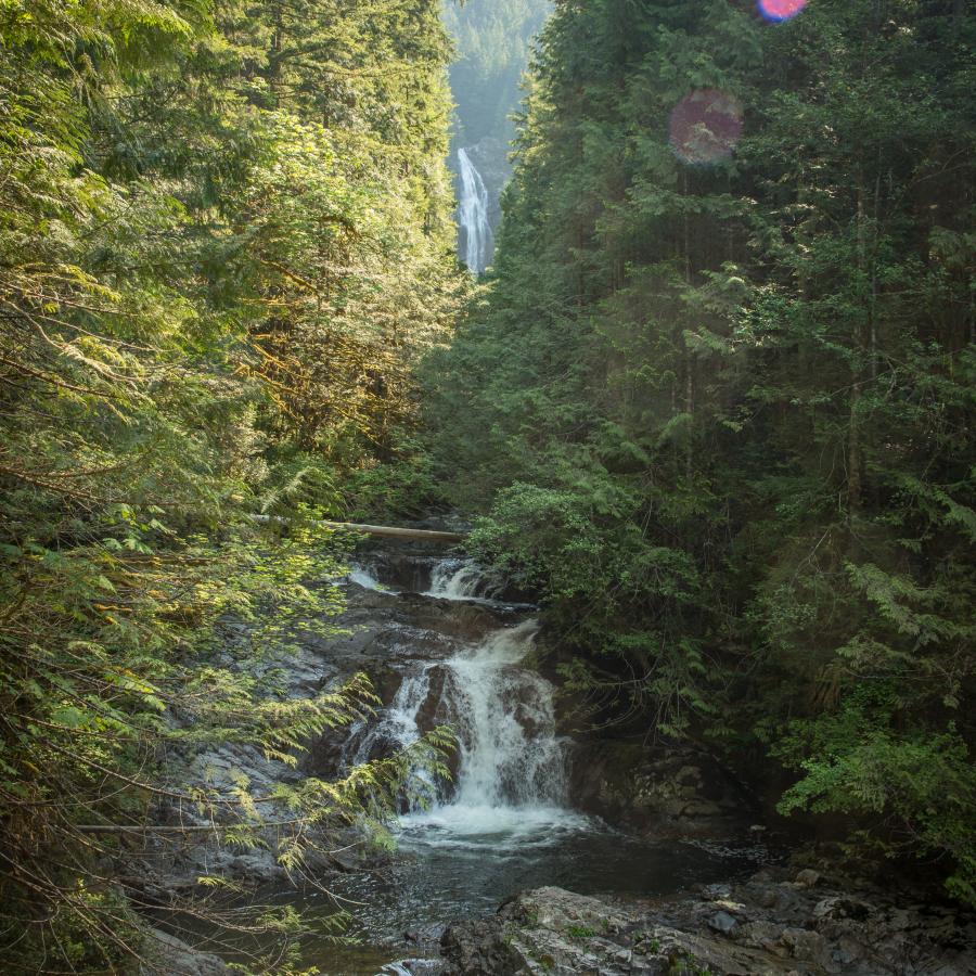 Facing the bottom of Wallace Falls in the center of the image with lush forest visible on both sides of the waterfall. The rocks are grey, brown and the water is rushing over the rocks. 