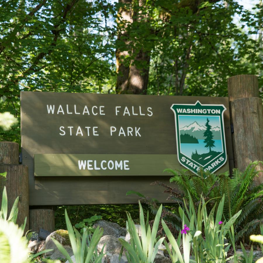 Wallace Falls State Park wooden entrance sign with the state park shield and the world "welcome" on it. In the background  there are lush green trees and in front of the sign are ferns and other green plants. 