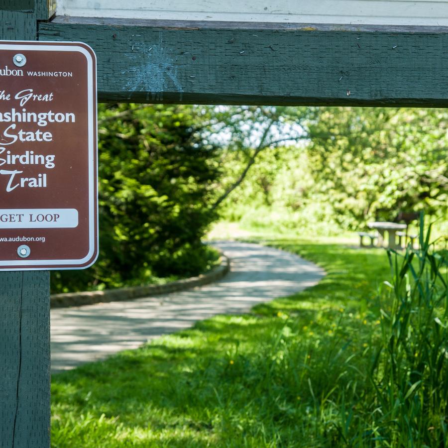 Dash Point birding trail.