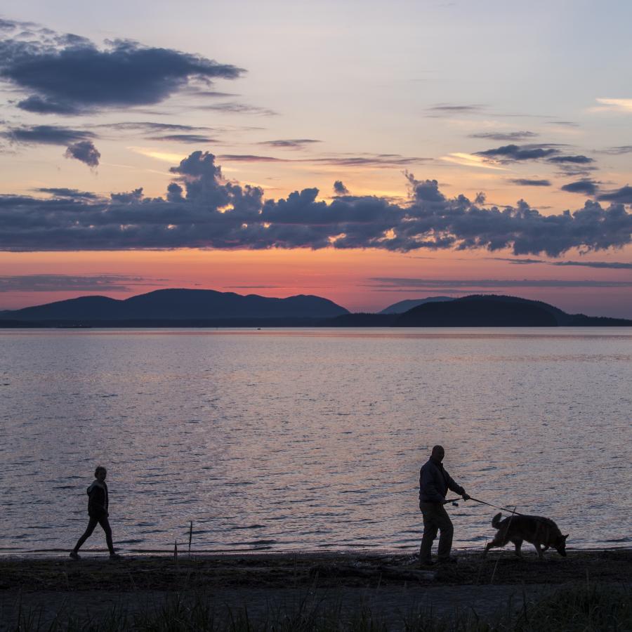 A man and girl walk a dog along the beach. Islands in the background with a pink, cloudy sunset.
