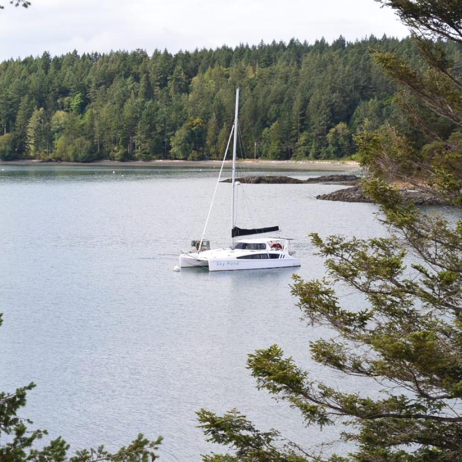 A boat moored off the shore of Blind Island State Park, an island in the San Juans. The white boat can be seen through the branches of two evergreen trees on the island.
