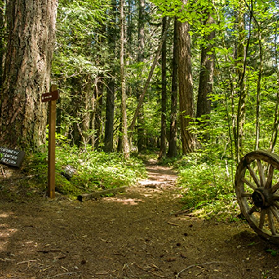 Trail junction at Federation Forest State Park.