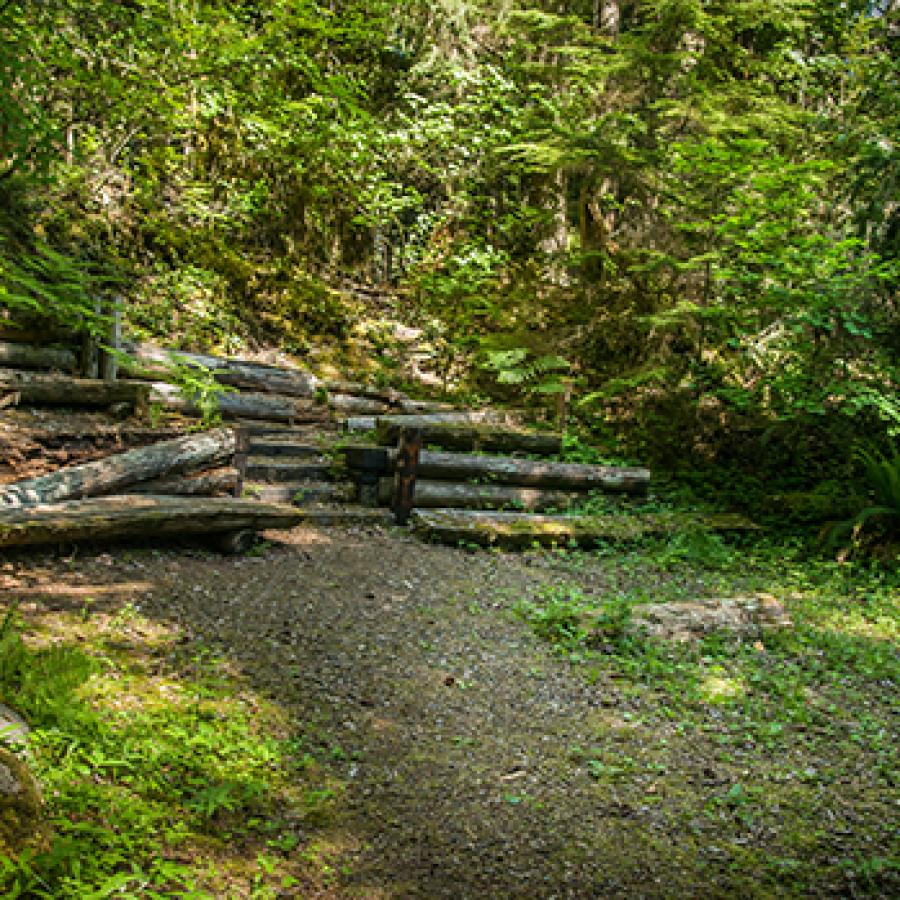 Tree trail at Federation Forest State Park.