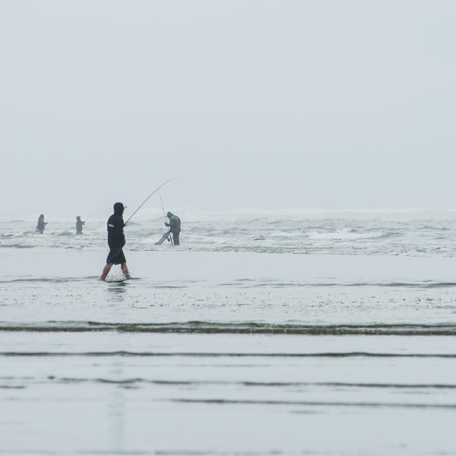 Fishing in the surf at Griffiths-Priday.